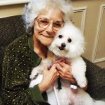 Nurses Guild caring for their patients