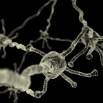Parkinsons Disease nerve damage